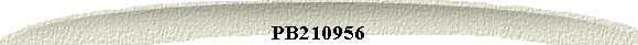 PB210956